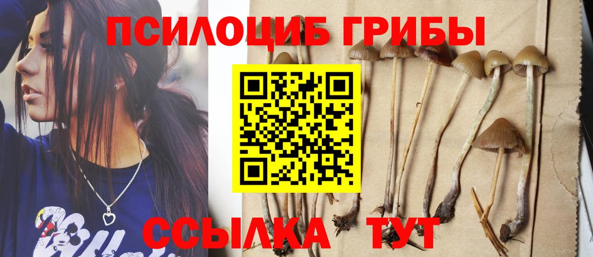 Псилоцибиновые грибы Psilocybine cubensis  Псилоцибиновые грибы Psilocybine cubensis  даркнет сайт  Вход с VPN  Кизилюрт 